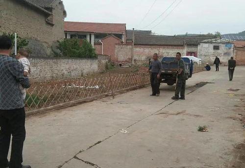 隆尧魏家庄镇吃瓜群众,吃瓜群众的夏日盛宴