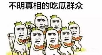 当吃瓜群众的你,吃瓜群众视角下的明星生活