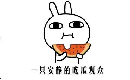 旁边全是吃瓜群众怎么说,揭秘“吃瓜群众”背后的社会现象