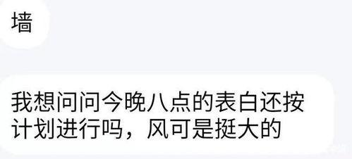 吃瓜群众的告白文案怎么写,告白文案背后的真实情感