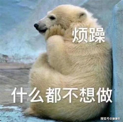 吃瓜群众的短句图片大全,幽默风趣的日常瞬间