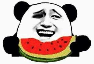 吃瓜群众怎么收场的视频,一场热闹的围观如何落幕