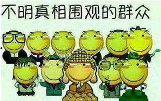 两人打架吃瓜群众怎么办,面对打架事件，吃瓜群众如何应对？