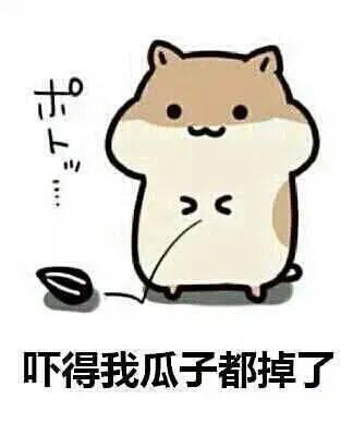 吃瓜群众的几大特征