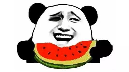 喵小咪 吃瓜群众,吃瓜群众的趣味生活